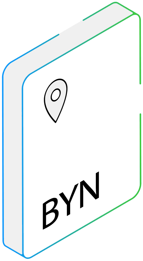 BYN file converter BYN