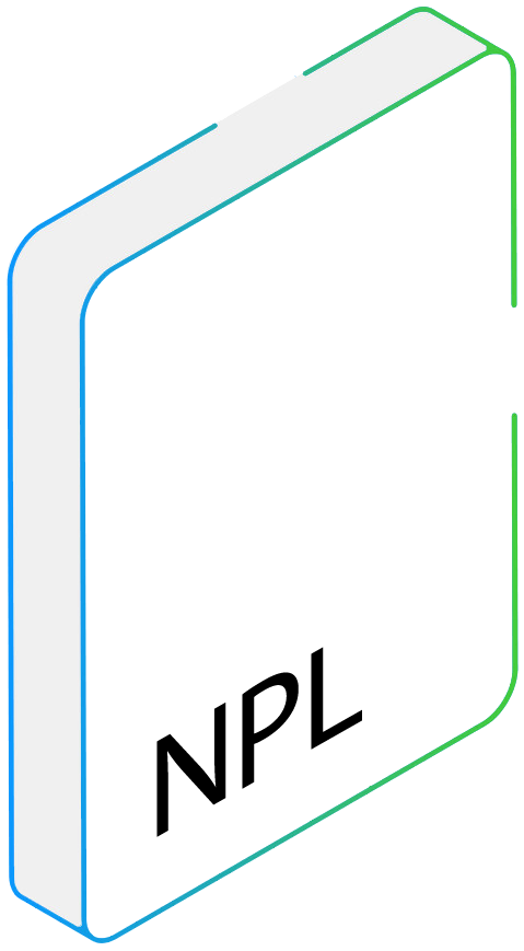 NPL file converter NPL