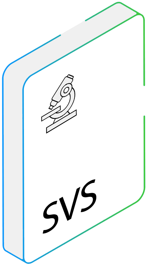 SVS