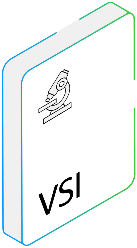 VSI file converter VSI